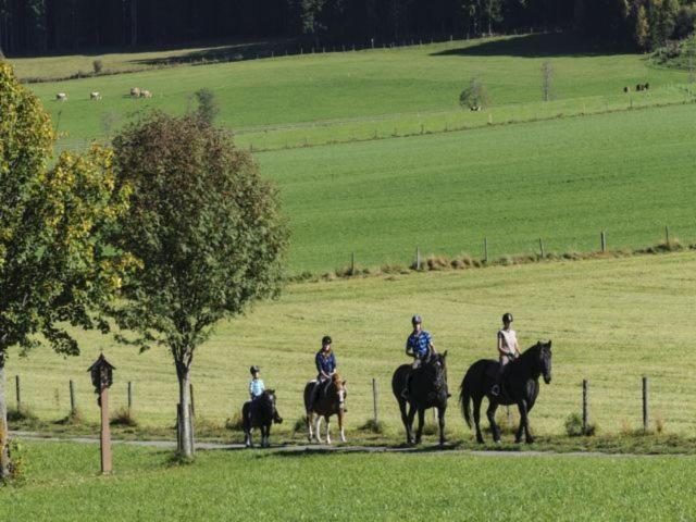 Bio-bauernhof Samerhof Farm stay *