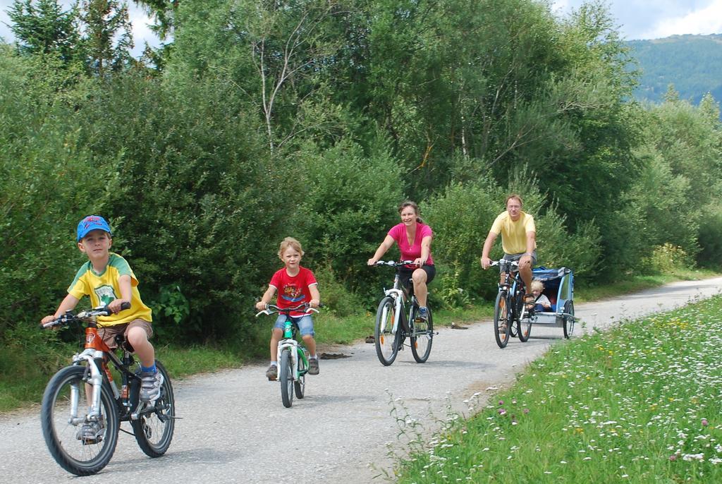 Bio-bauernhof Samerhof Farma Mariapfarr